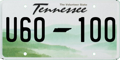 TN license plate U6010O