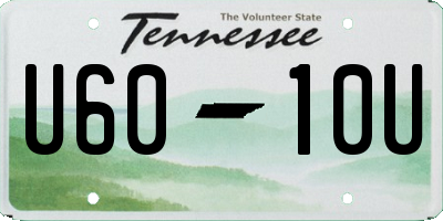 TN license plate U6010U