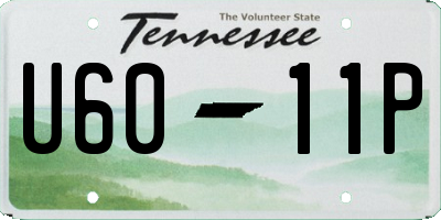 TN license plate U6011P