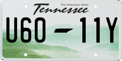 TN license plate U6011Y