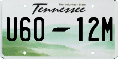 TN license plate U6012M