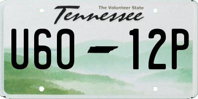 TN license plate U6012P