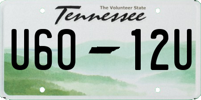 TN license plate U6012U