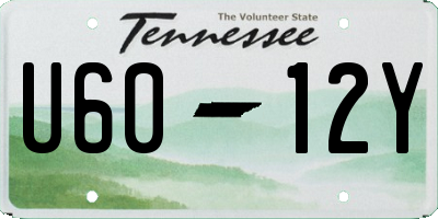 TN license plate U6012Y