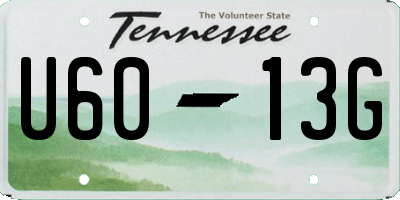 TN license plate U6013G