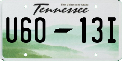 TN license plate U6013I