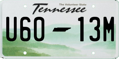 TN license plate U6013M