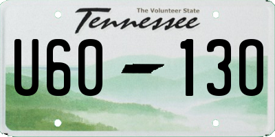 TN license plate U6013O