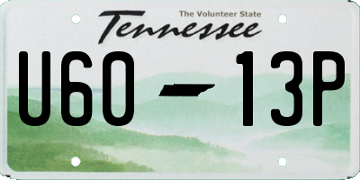TN license plate U6013P