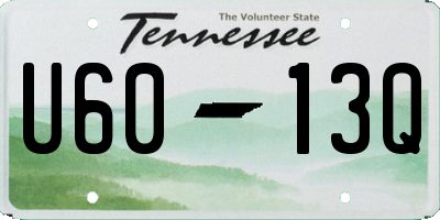 TN license plate U6013Q