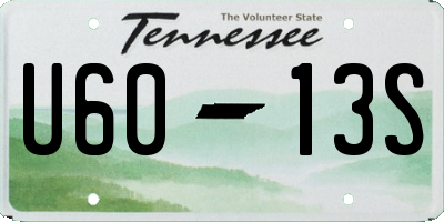 TN license plate U6013S