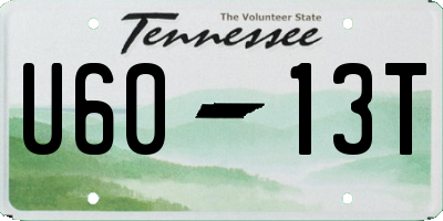 TN license plate U6013T
