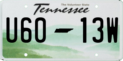 TN license plate U6013W