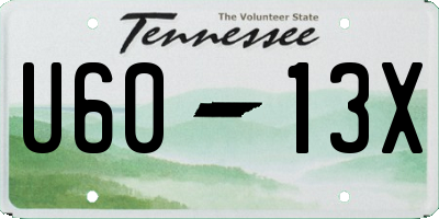 TN license plate U6013X