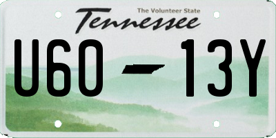 TN license plate U6013Y