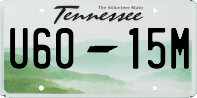 TN license plate U6015M