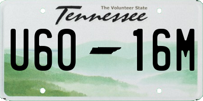 TN license plate U6016M