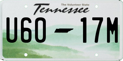 TN license plate U6017M