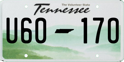 TN license plate U6017O
