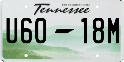TN license plate U6018M