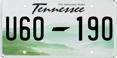 TN license plate U6019O