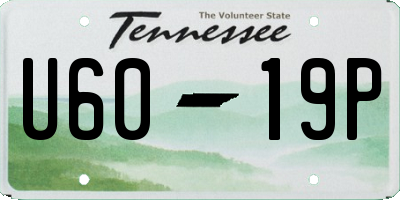 TN license plate U6019P