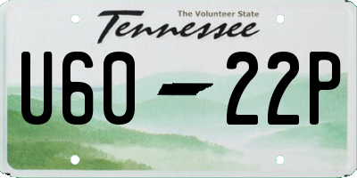 TN license plate U6022P