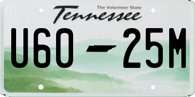 TN license plate U6025M