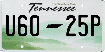 TN license plate U6025P