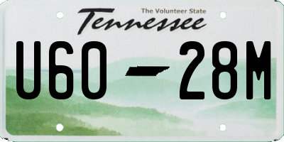 TN license plate U6028M
