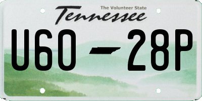 TN license plate U6028P