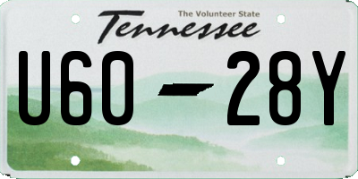 TN license plate U6028Y