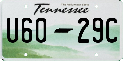 TN license plate U6029C