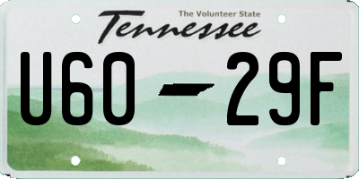 TN license plate U6029F