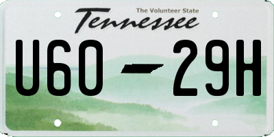 TN license plate U6029H