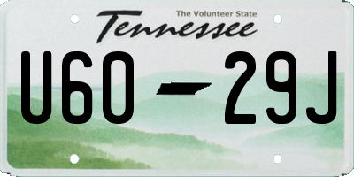TN license plate U6029J