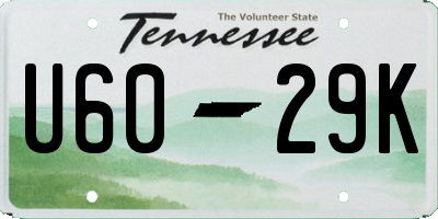 TN license plate U6029K
