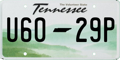 TN license plate U6029P