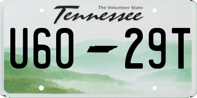 TN license plate U6029T