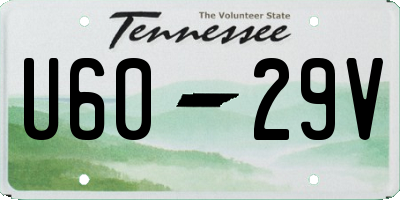 TN license plate U6029V