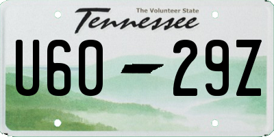 TN license plate U6029Z