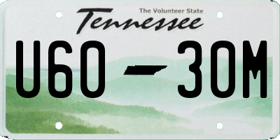 TN license plate U6030M
