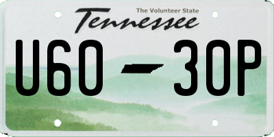 TN license plate U6030P