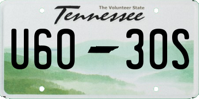 TN license plate U6030S