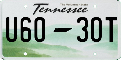 TN license plate U6030T