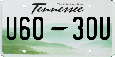 TN license plate U6030U