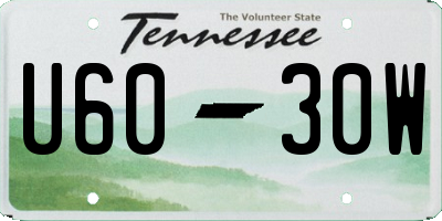 TN license plate U6030W