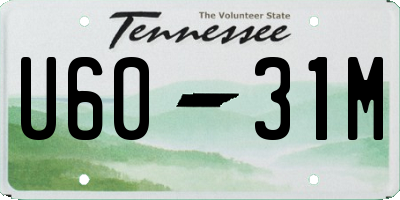 TN license plate U6031M