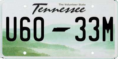 TN license plate U6033M