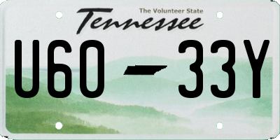 TN license plate U6033Y